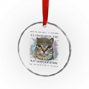 Tummy Ache Survivor Cat Meme Crystal Glass Ornament Vintage 90s Graphic Funny Stomach Issues Bootleg TS10 Print Your Wear