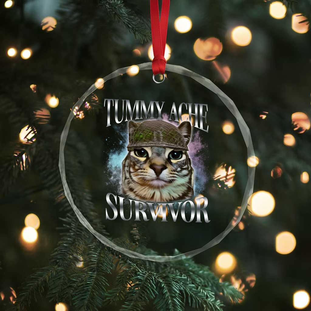 Tummy Ache Survivor Cat Meme Crystal Glass Ornament Vintage 90s Graphic Funny Stomach Issues Bootleg TS10 Print Your Wear