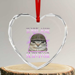 Tummy Ache Survivor Cat Meme Heart Crystal Glass Ornament Funny Trending Oddly Specific Brainrot Memes TS10 Transparent Glass 3'' Heart Print Your Wear
