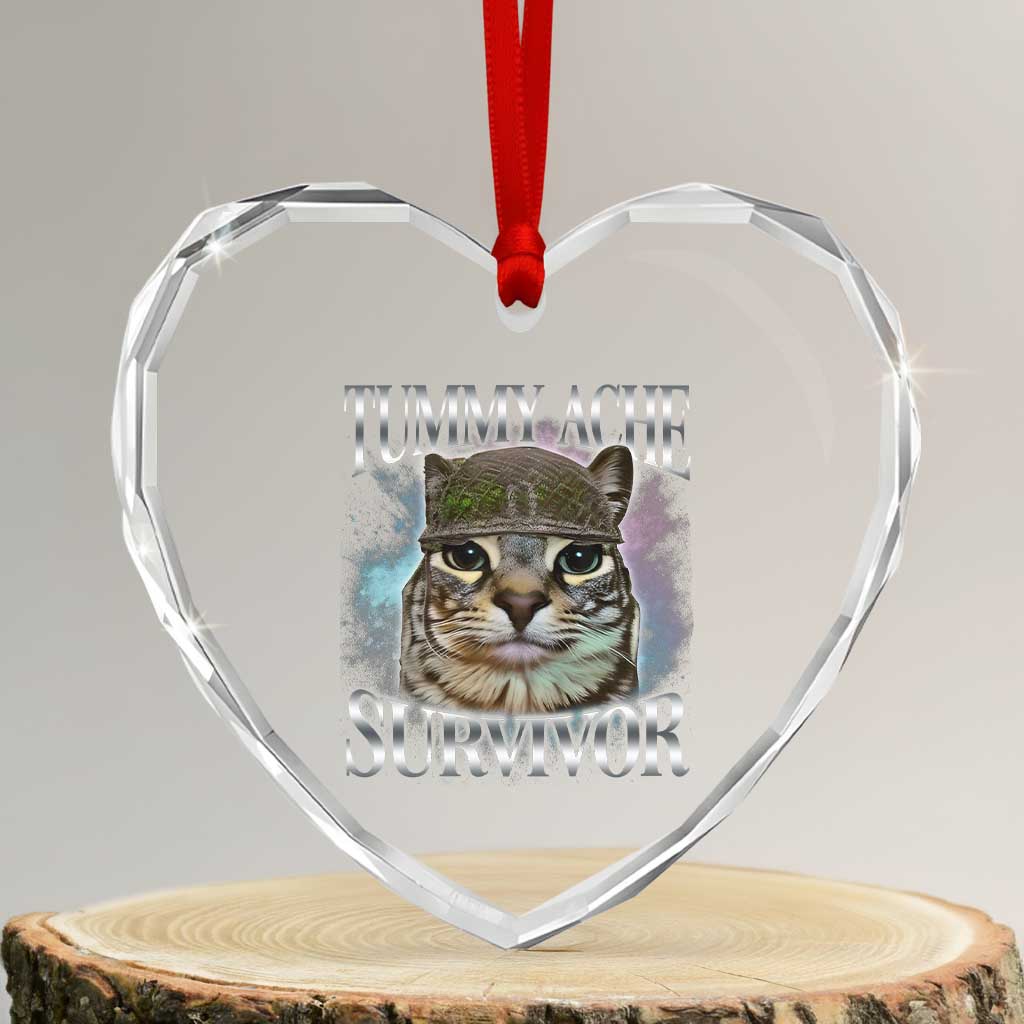 Tummy Ache Survivor Cat Meme Heart Crystal Glass Ornament Vintage 90s Graphic Funny Stomach Issues Bootleg TS10 Transparent Glass 3'' Heart Print Your Wear