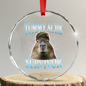 Tummy Ache Survivor Crystal Glass Ornament Funny Capybara Meme For Animal Lover TS12 Transparent Glass 3'' Circle Print Your Wear