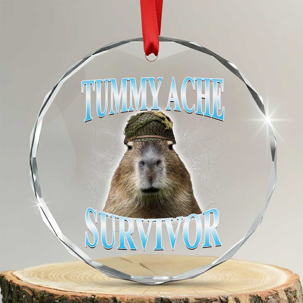 Tummy Ache Survivor Crystal Glass Ornament Funny Capybara Meme For Animal Lover TS12 Transparent Glass 3'' Circle Print Your Wear