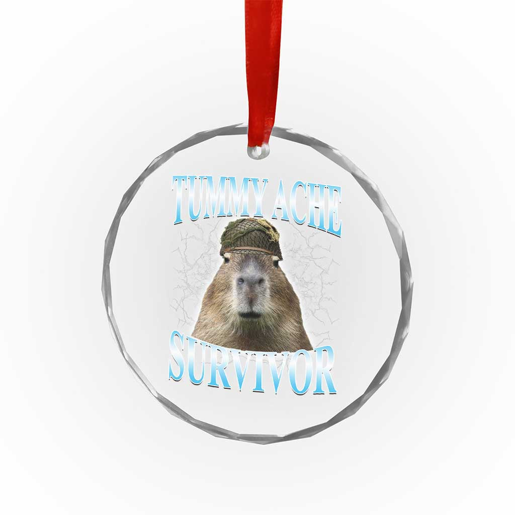 Tummy Ache Survivor Crystal Glass Ornament Funny Capybara Meme For Animal Lover TS12 Print Your Wear