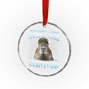 Tummy Ache Survivor Crystal Glass Ornament Funny Capybara Meme For Animal Lover TS12 Print Your Wear