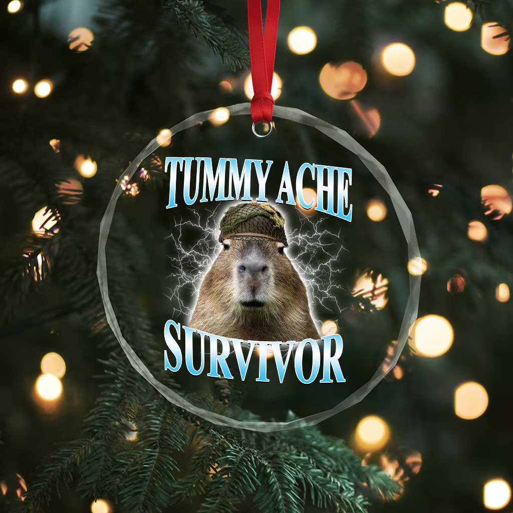 Tummy Ache Survivor Crystal Glass Ornament Funny Capybara Meme For Animal Lover TS12 Print Your Wear