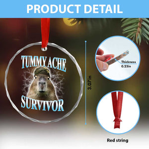 Tummy Ache Survivor Crystal Glass Ornament Funny Capybara Meme For Animal Lover TS12 Print Your Wear