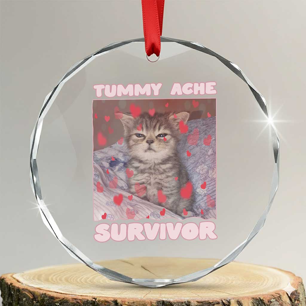 Tummy Ache Survivor Crystal Glass Ornament Funny Cute Cat Meme TS14 Transparent Glass 3'' Circle Print Your Wear