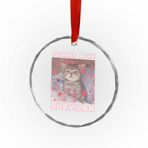 Tummy Ache Survivor Crystal Glass Ornament Funny Cute Cat Meme TS14 Print Your Wear