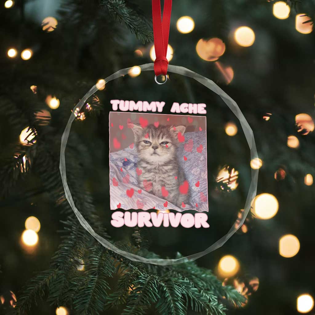 Tummy Ache Survivor Crystal Glass Ornament Funny Cute Cat Meme TS14 Print Your Wear