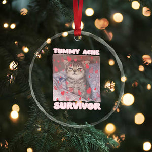 Tummy Ache Survivor Crystal Glass Ornament Funny Cute Cat Meme TS14 Print Your Wear