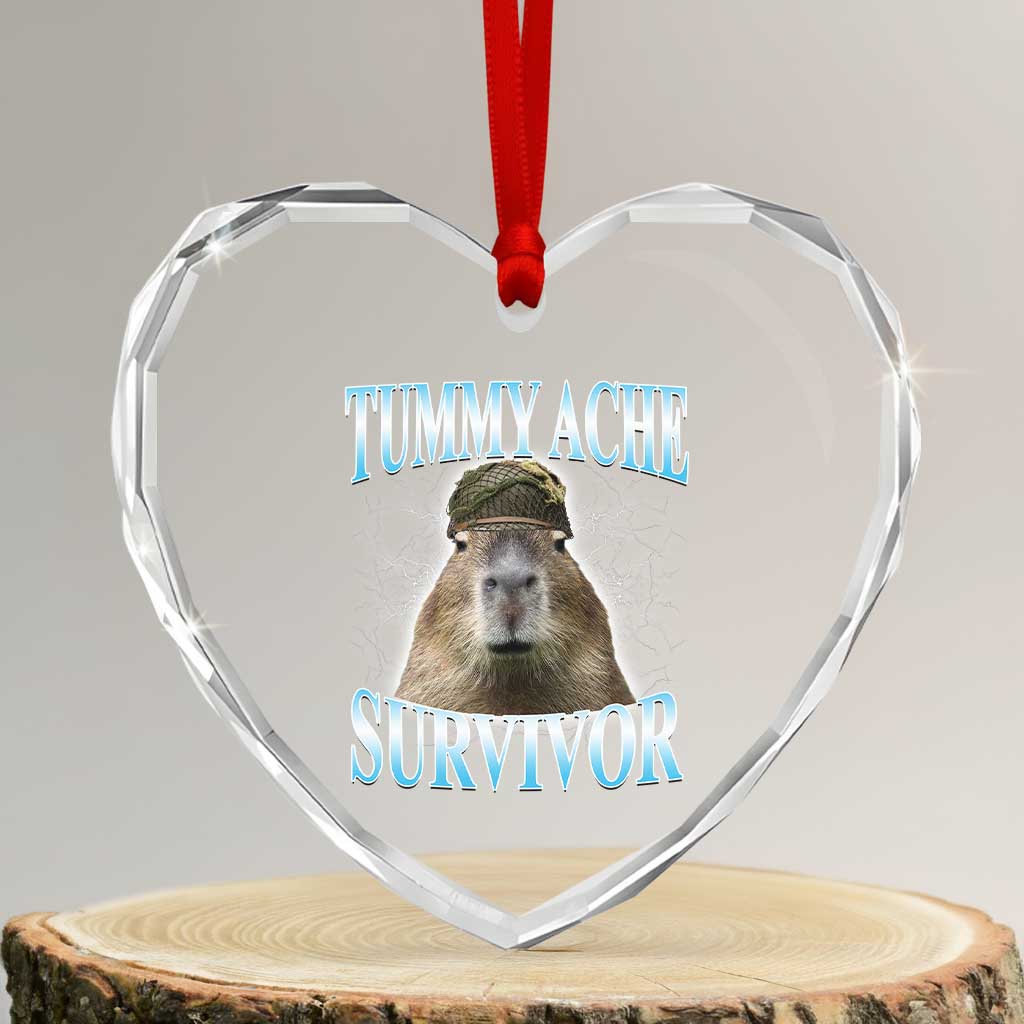 Tummy Ache Survivor Heart Crystal Glass Ornament Funny Capybara Meme For Animal Lover TS12 Transparent Glass 3'' Heart Print Your Wear
