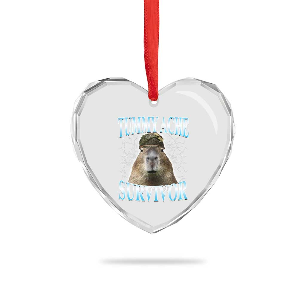 Tummy Ache Survivor Heart Crystal Glass Ornament Funny Capybara Meme For Animal Lover TS12 Print Your Wear