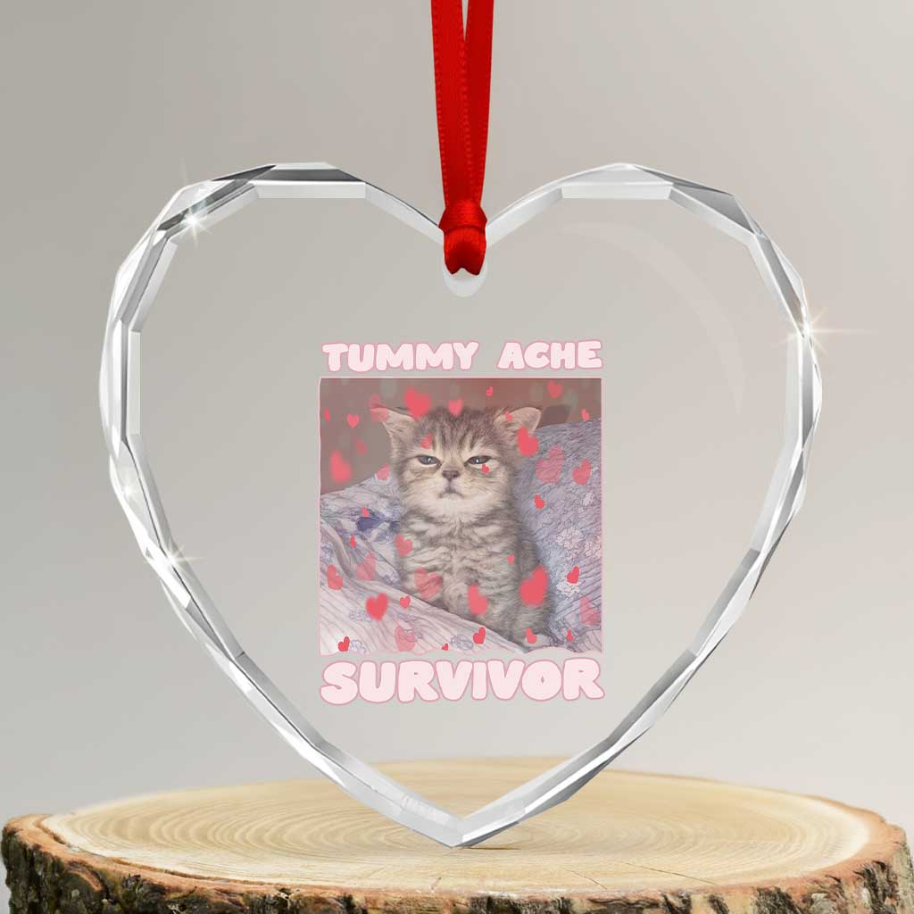 Tummy Ache Survivor Heart Crystal Glass Ornament Funny Cute Cat Meme TS14 Transparent Glass 3'' Heart Print Your Wear