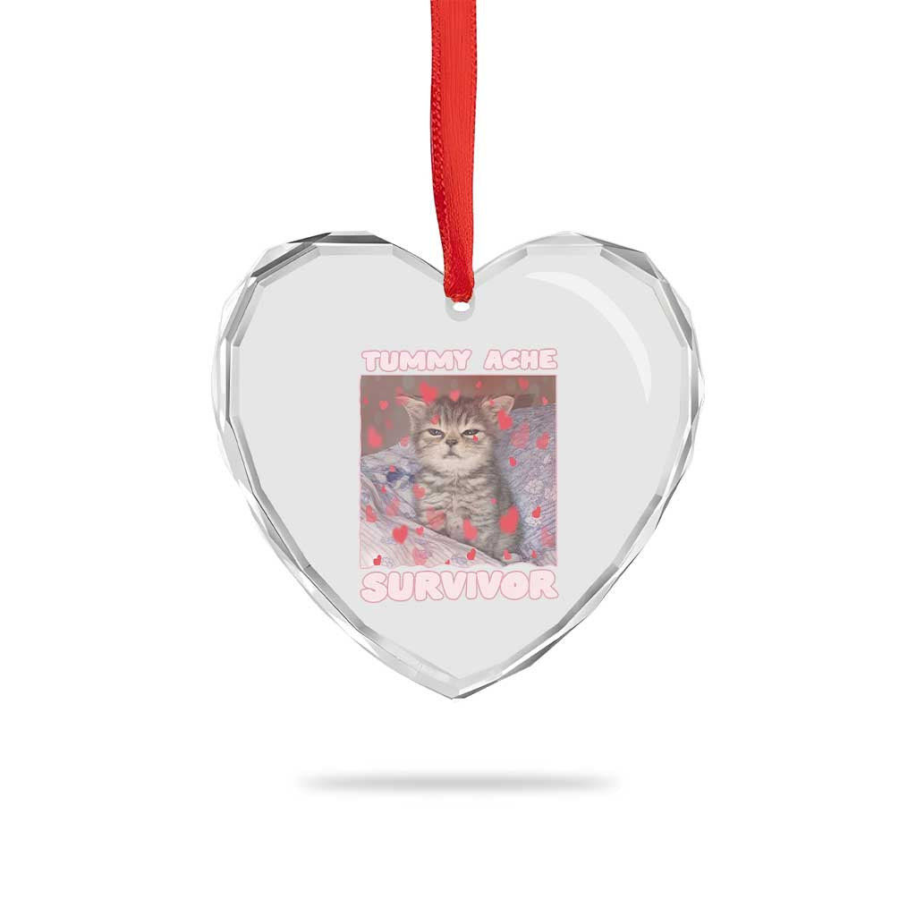 Tummy Ache Survivor Heart Crystal Glass Ornament Funny Cute Cat Meme TS14 Print Your Wear