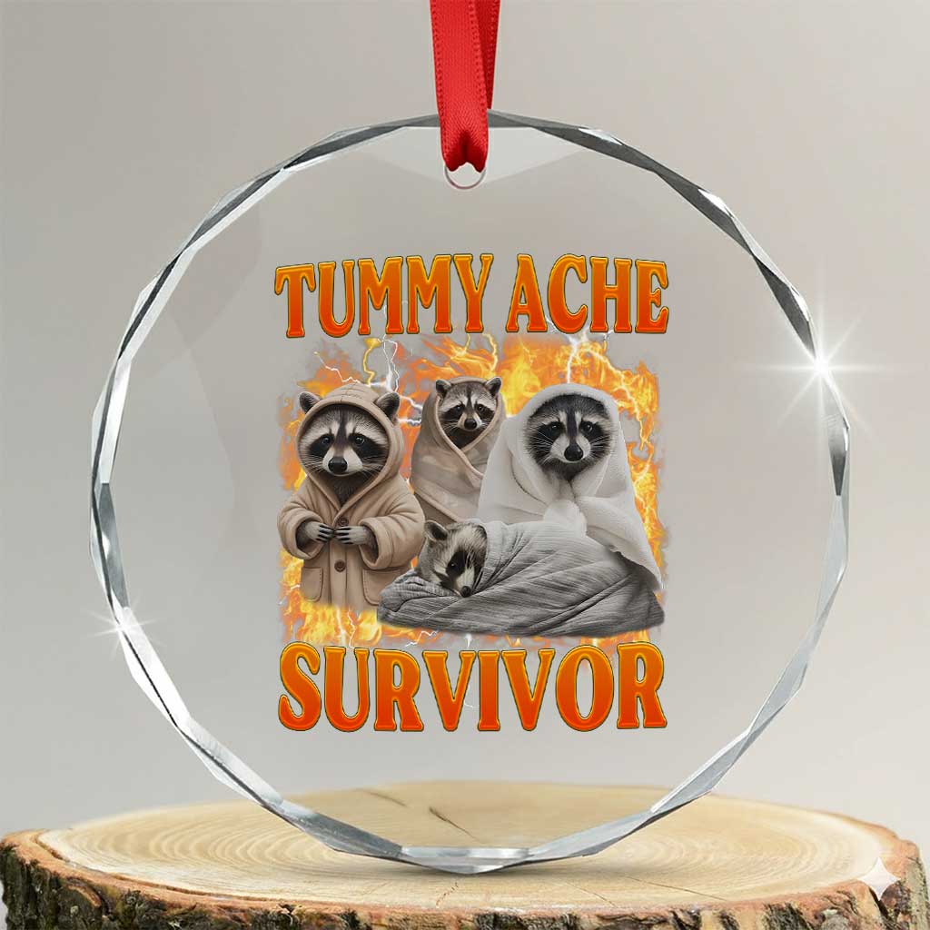 Tummy Ache Survivor Raccoon Meme Crystal Glass Ornament TS10 Transparent Glass 3'' Circle Print Your Wear