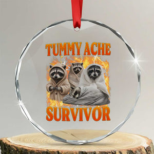 Tummy Ache Survivor Raccoon Meme Crystal Glass Ornament TS10 Transparent Glass 3'' Circle Print Your Wear