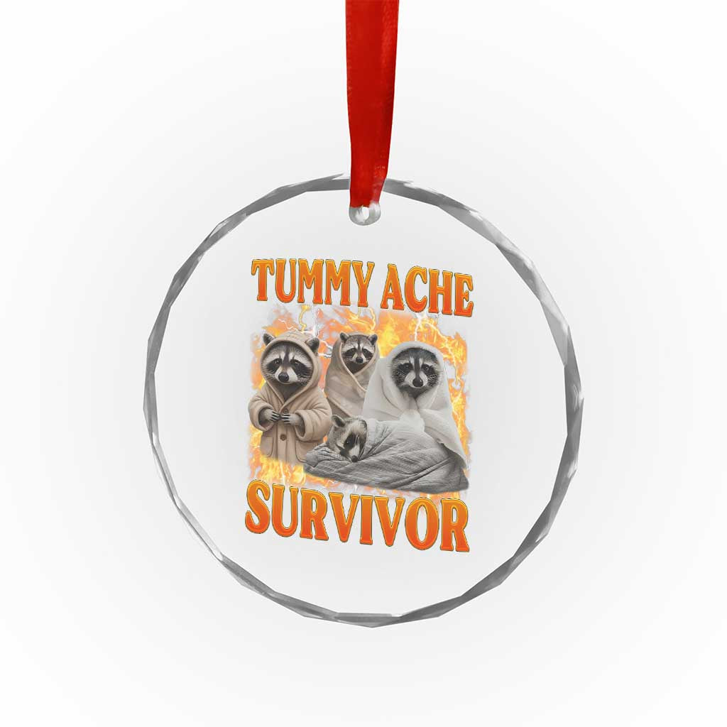 Tummy Ache Survivor Raccoon Meme Crystal Glass Ornament TS10 Print Your Wear