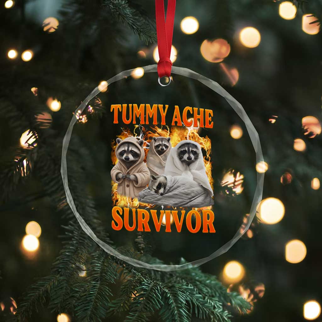 Tummy Ache Survivor Raccoon Meme Crystal Glass Ornament TS10 Print Your Wear
