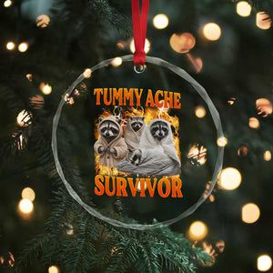 Tummy Ache Survivor Raccoon Meme Crystal Glass Ornament TS10 Print Your Wear