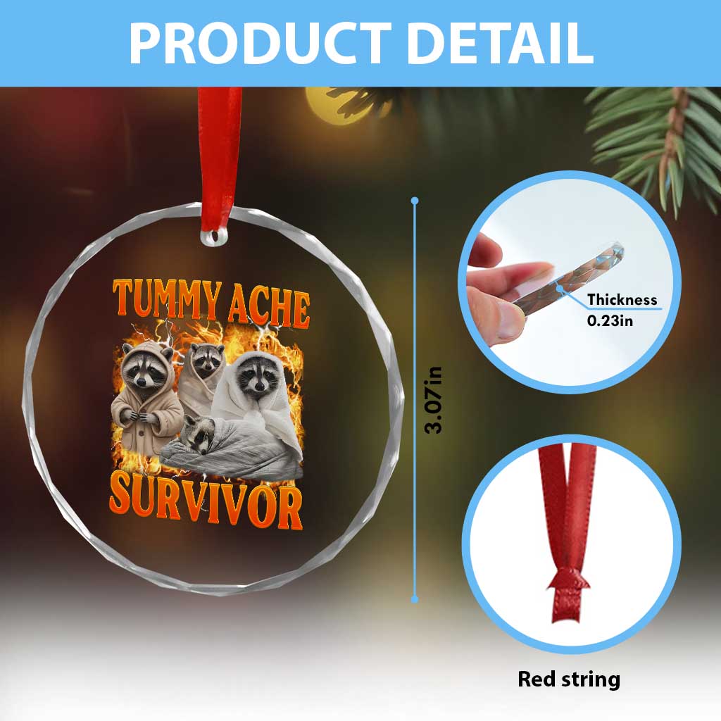 Tummy Ache Survivor Raccoon Meme Crystal Glass Ornament TS10 Print Your Wear