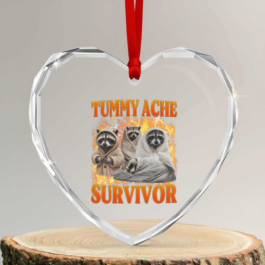 Tummy Ache Survivor Raccoon Meme Heart Crystal Glass Ornament TS10 Transparent Glass 3'' Heart Print Your Wear