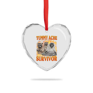 Tummy Ache Survivor Raccoon Meme Heart Crystal Glass Ornament TS10 Print Your Wear