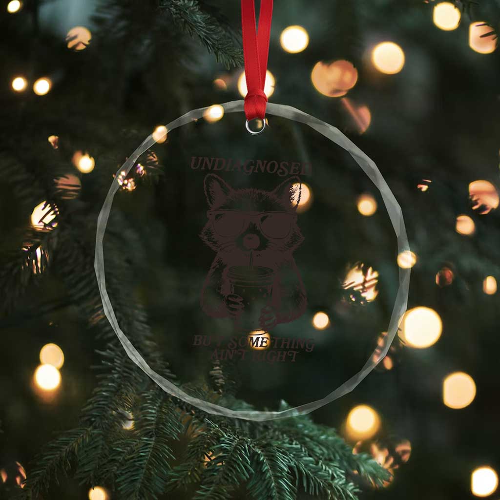 Undiagnosed But Something Aint Right Crystal Glass Ornament Funny Racoon Saying TS14 Print Your Wear