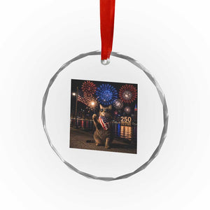 USA 250th Anniversary Cat Crystal Glass Ornament Funny 4th Of July Independence Day 250 Years 1776 2026 Patriotic Celebration Meme TS10 Print Your Wear