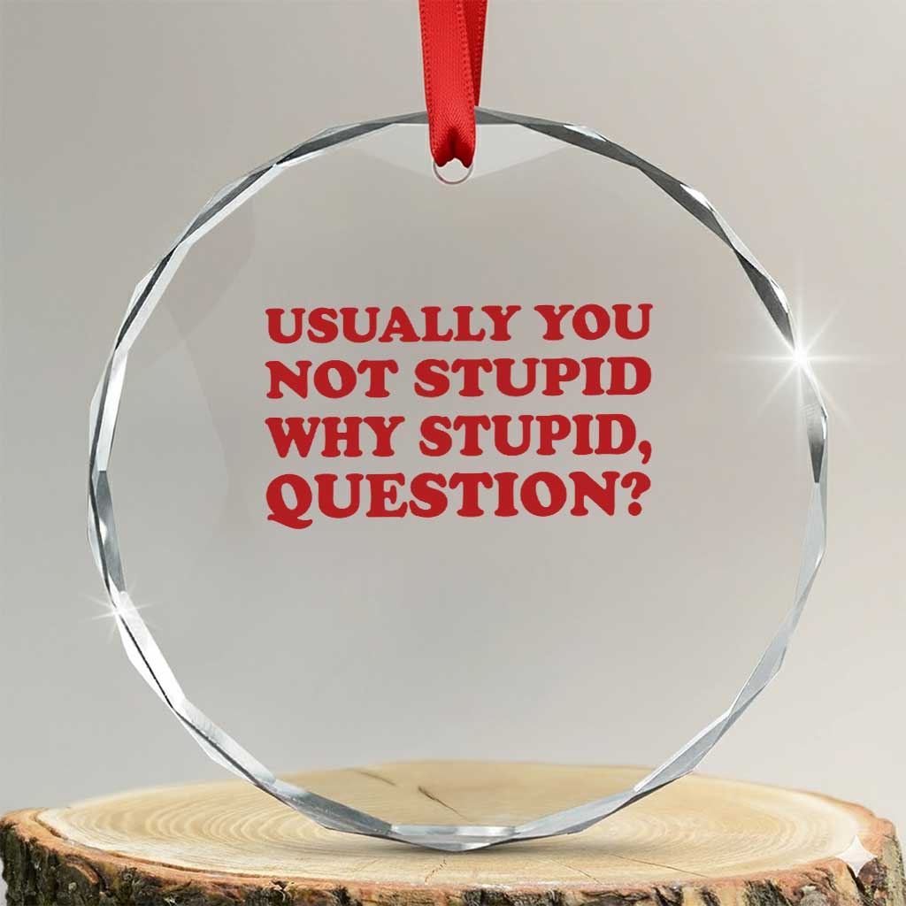 Usually You Not Stupid Why Stupid Question Crystal Glass Ornament Funny Space Quote Sci Fi Book TS14 Transparent Glass 3'' Circle Print Your Wear