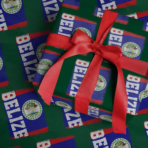 Vintage Belize Wrapping Paper Roll Distressed Flag Central American Pride Heritage Gift TS10 Green Print Your Wear