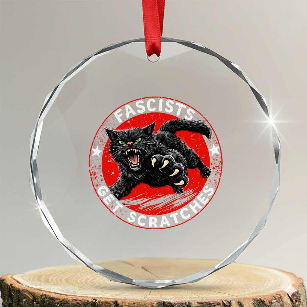 Vintage Black Cat Against Fascists Crystal Glass Ornament TS10 Transparent Glass 3'' Circle Print Your Wear