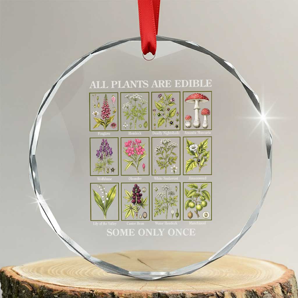 Vintage Botanical Poison Chart Graphic Crystal Glass Ornament All Plants Are Edible Some Only Once TS02 Transparent Glass 3'' Circle Print Your Wear