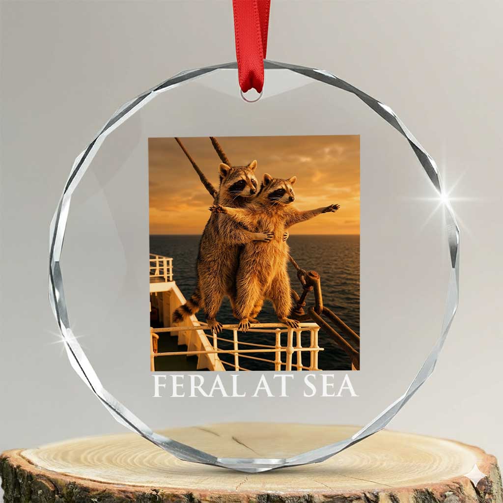Vintage Feral At Sea Cruise Crystal Glass Ornament Funny Raccoon Parody Movie TS14 Transparent Glass 3'' Circle Print Your Wear