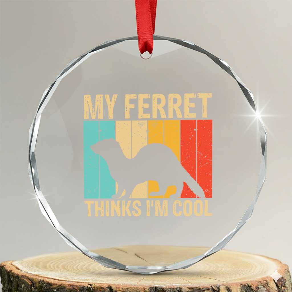 Vintage My Ferret Thinks I Am Cool Crystal Glass Ornament Ferret Dad Gift TS12 Transparent Glass 3'' Circle Print Your Wear