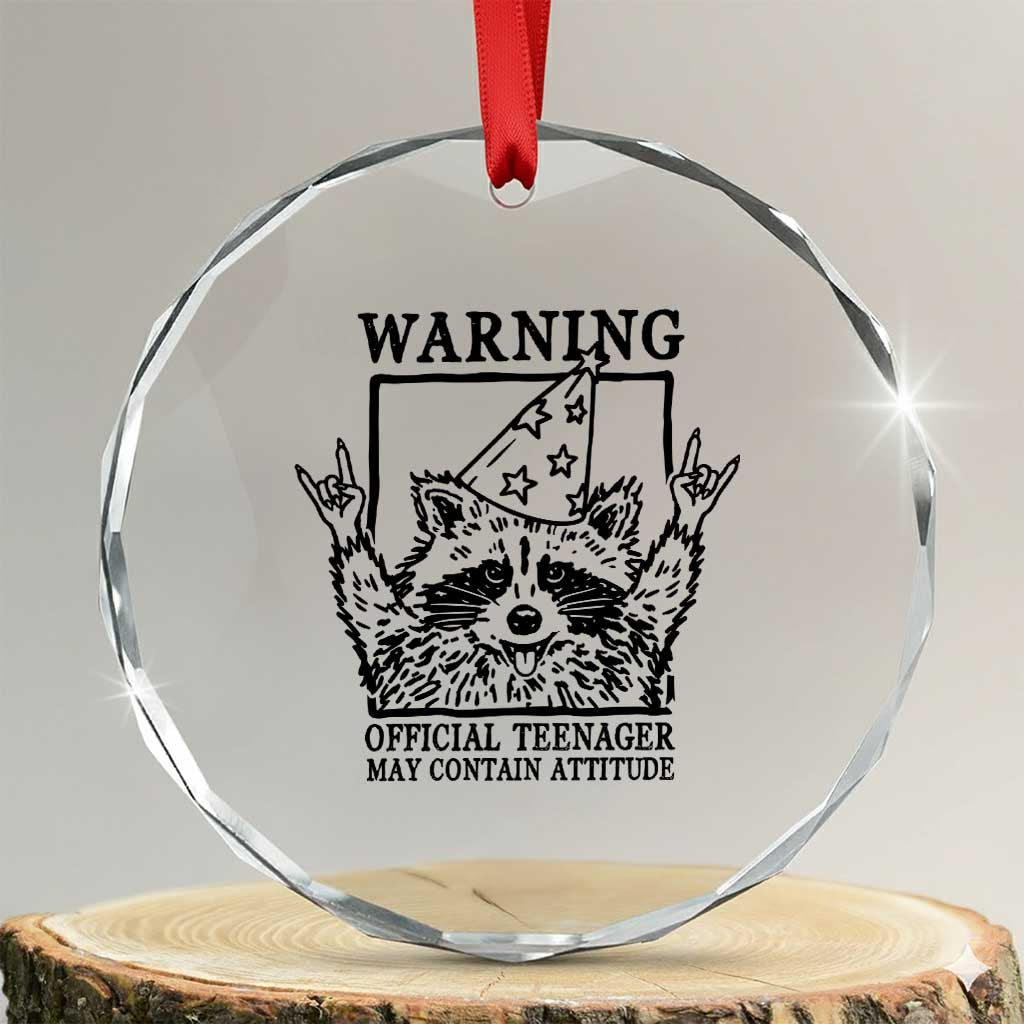 Vintage Raccoon 13th Birthday Crystal Glass Ornament 13 Year Old Official Teenager Gifts TS10 Transparent Glass 3'' Circle Print Your Wear