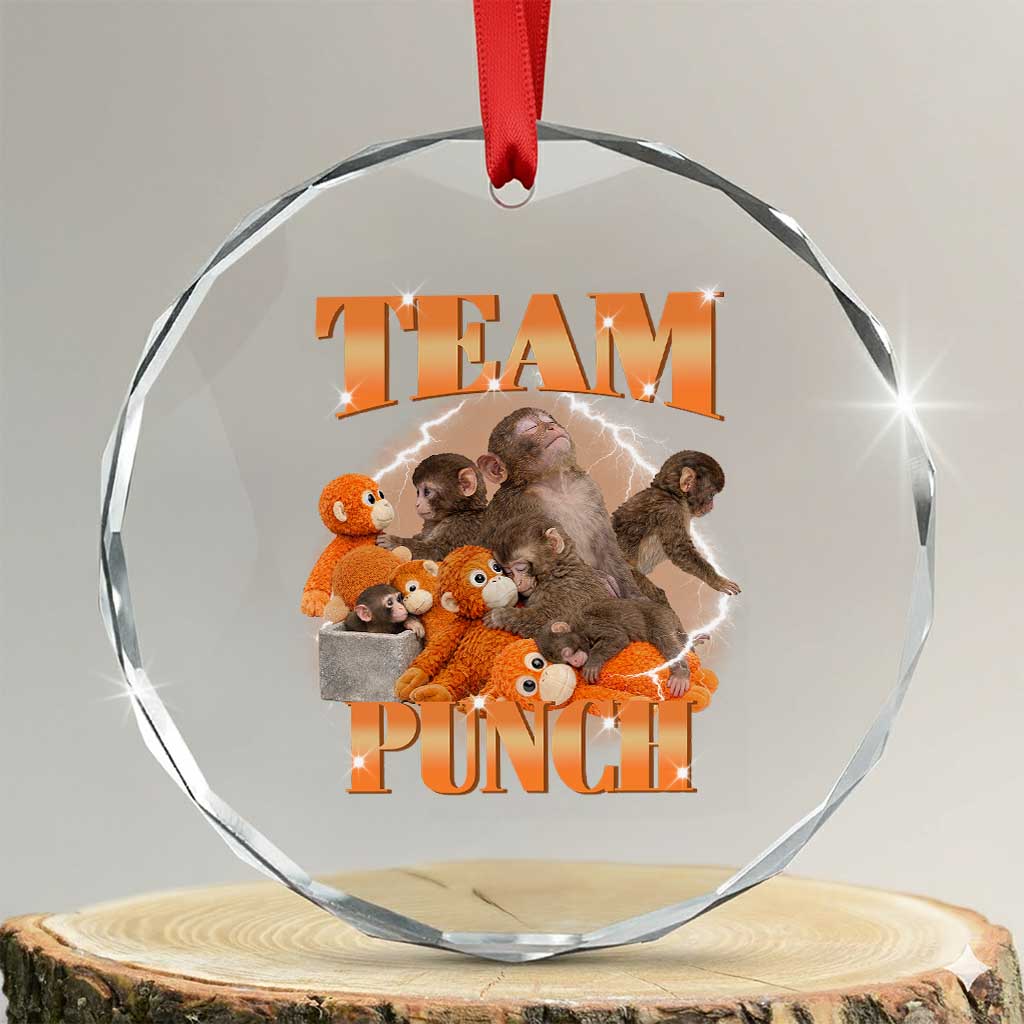 Viral Punch Monkey Crystal Glass Ornament Cute Baby Monkey With Plush Toy Meme TS14 Transparent Glass 3'' Circle Print Your Wear