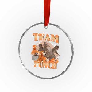 Viral Punch Monkey Crystal Glass Ornament Cute Baby Monkey With Plush Toy Meme TS14 Print Your Wear