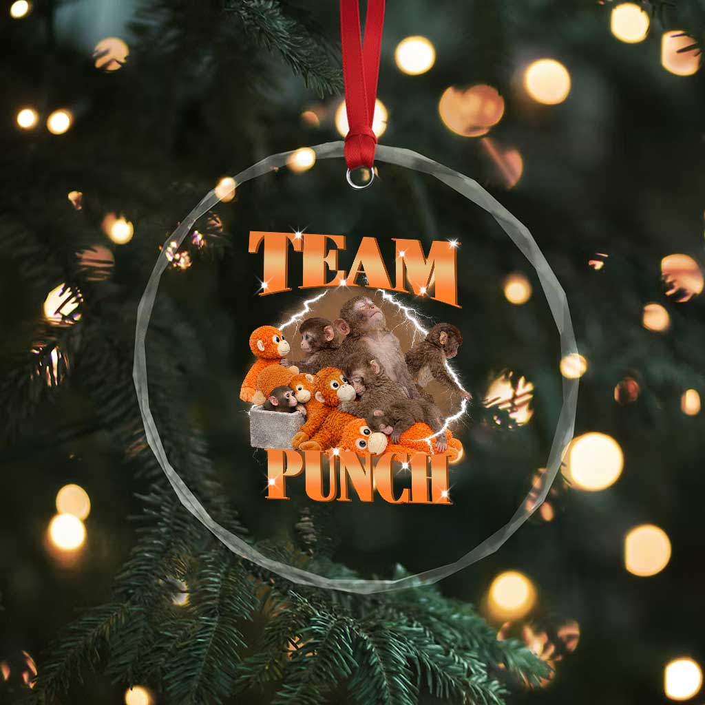Viral Punch Monkey Crystal Glass Ornament Cute Baby Monkey With Plush Toy Meme TS14 Print Your Wear
