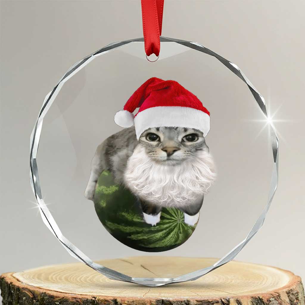 Watermelon Cat Christmas Crystal Glass Ornament Funny Silly Kitten Meme TS14 Transparent Glass 3'' Circle Print Your Wear