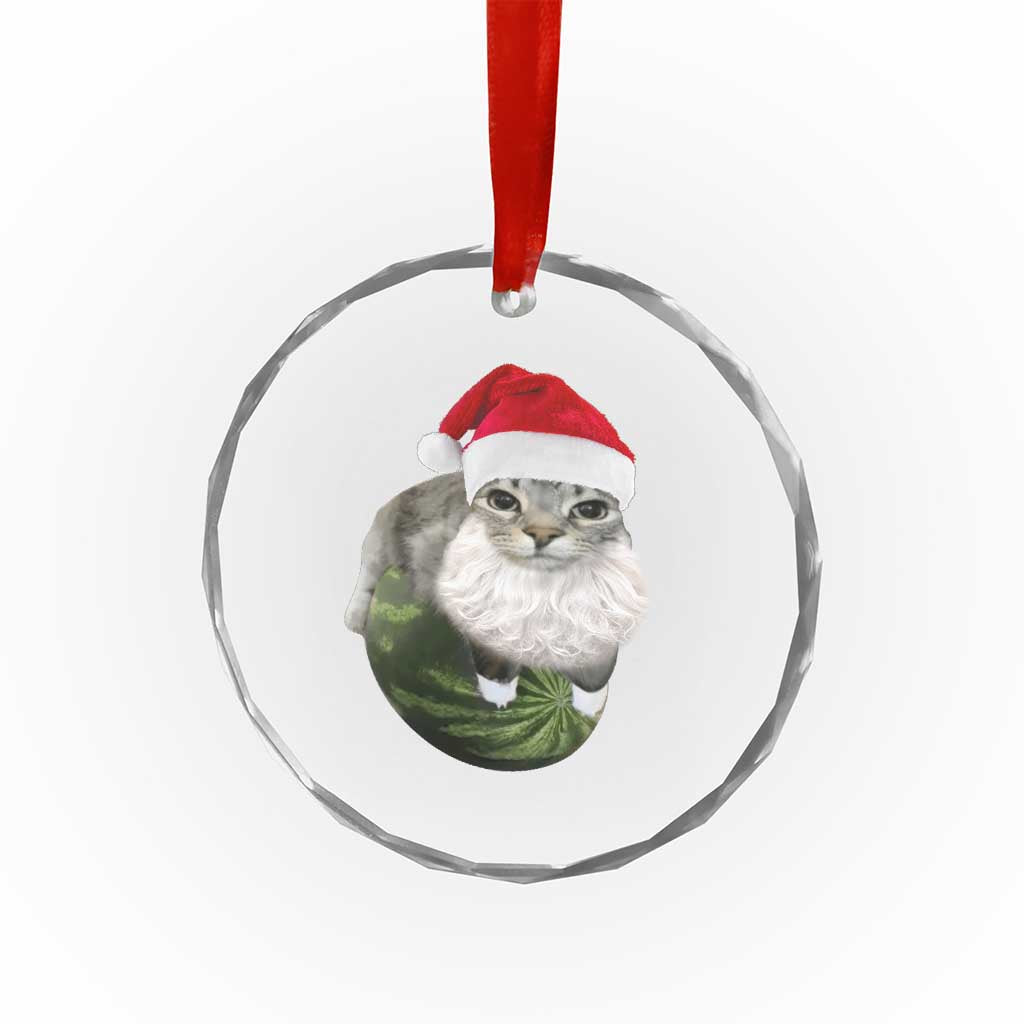 Watermelon Cat Christmas Crystal Glass Ornament Funny Silly Kitten Meme TS14 Print Your Wear