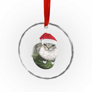 Watermelon Cat Christmas Crystal Glass Ornament Funny Silly Kitten Meme TS14 Print Your Wear