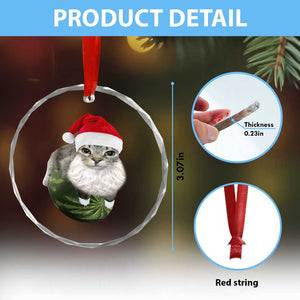 Watermelon Cat Christmas Crystal Glass Ornament Funny Silly Kitten Meme TS14 Print Your Wear