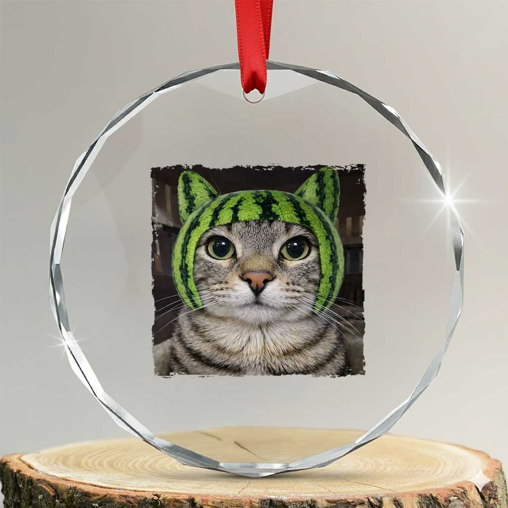 Watermelon Cat Silly Cat Meme Crystal Glass Ornament TS10 Transparent Glass 3'' Circle Print Your Wear