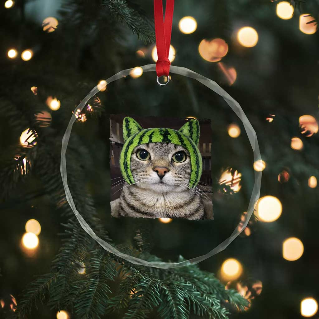 Watermelon Cat Silly Cat Meme Crystal Glass Ornament TS10 Print Your Wear