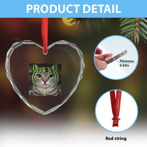 Watermelon Cat Silly Cat Meme Heart Crystal Glass Ornament TS10 Print Your Wear