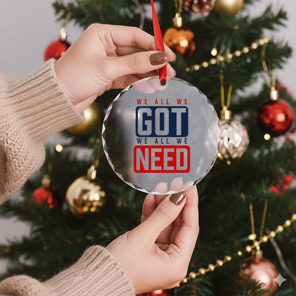 We All We Got We All We Need Motivational Crystal Glass Ornament Minimalist Bold Sports Style TS02 Print Your Wear