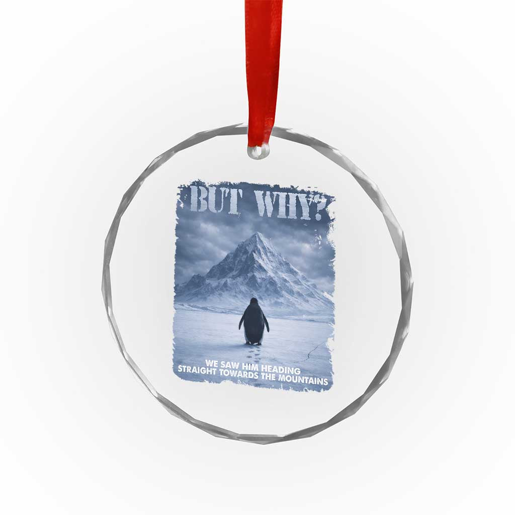 We Saw Him Heading Straight Towards The Mountain But Why Nihilist Penguin Crystal Glass Ornament TS11 Print Your Wear