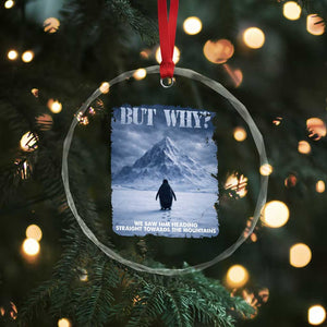 We Saw Him Heading Straight Towards The Mountain But Why Nihilist Penguin Crystal Glass Ornament TS11 Print Your Wear