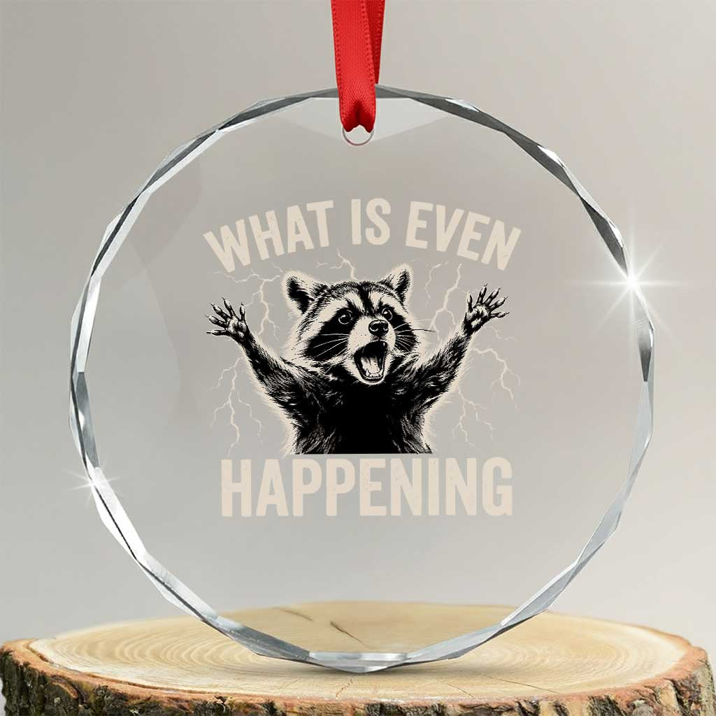 What Is Even Happening Funny Raccoon Crystal Glass Ornament Screaming Trash Panda Meme Storm TS11 Transparent Glass 3'' Circle Print Your Wear