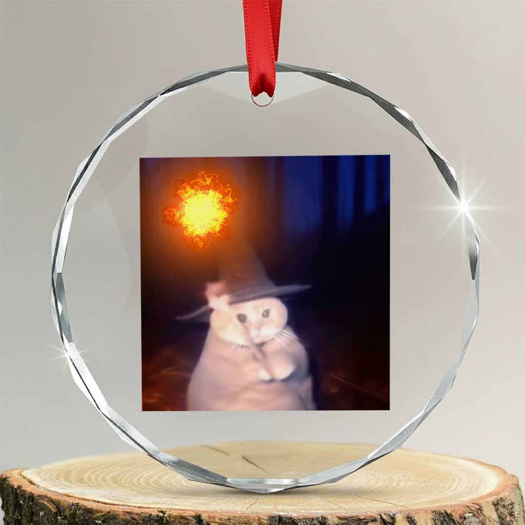 Wizard Cat Crystal Glass Ornament Weird Funny Retro Halloween Orange Cat Meme TS10 Transparent Glass 3'' Circle Print Your Wear